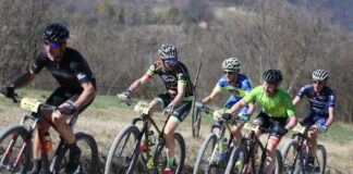 Easy Cup Mtb