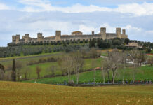 Deltos Cup: la stagione parte domenica da Monteriggioni Deltos Cup