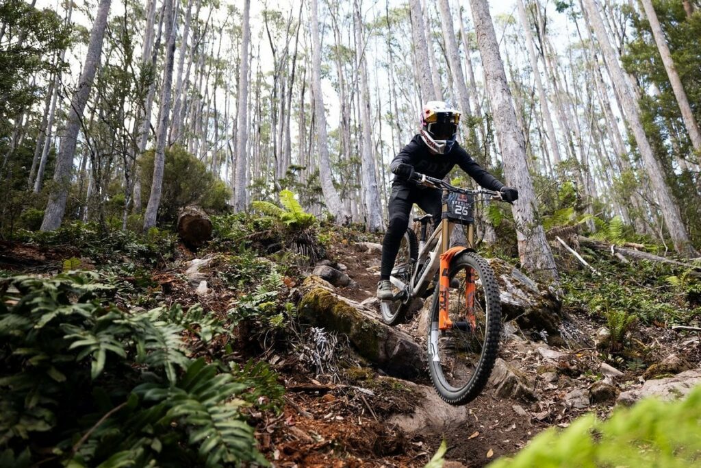 Red Bull Hardline 2025