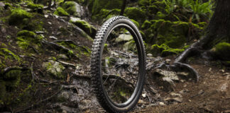 Bontrager