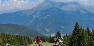 Easy Cup MTB