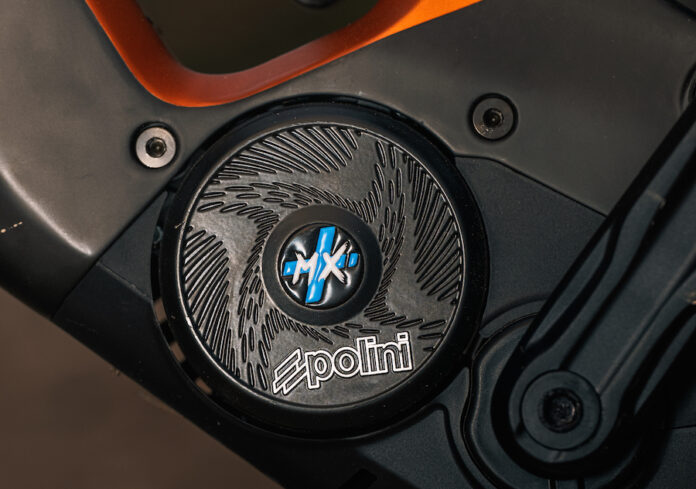 Polini