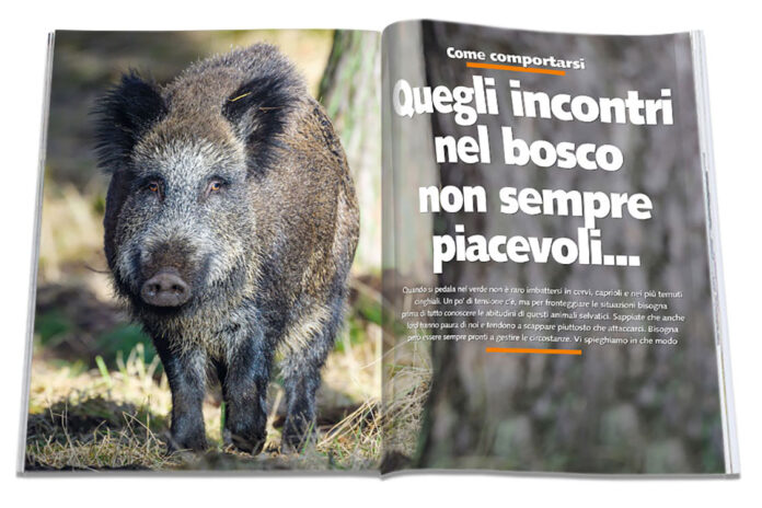 09-Apertura-MTB-Magazine-Cinghiali-03-2025