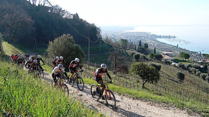 Bardolino Bike