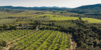 Massa Marittima