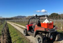 Le Terre di Franciacorta