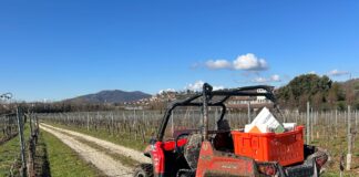 Le Terre di Franciacorta