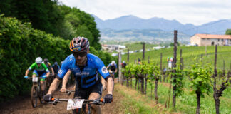 Internazionali d’Italia Series