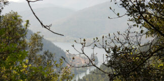 Umbria in Mountain Bike