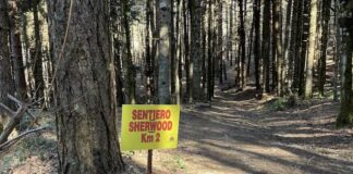 Gran Fondo del Syrah