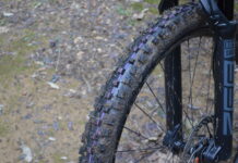 Schwalbe