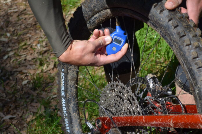 Schwalbe