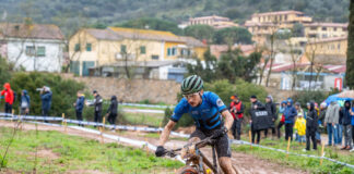 Internazionali d'Italia Series