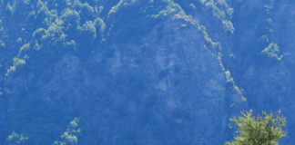 Pollino Marathon