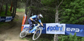 Polini