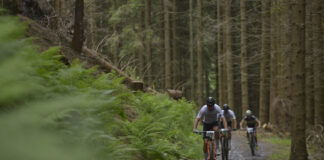 BIKEnjoy Valle Camonica