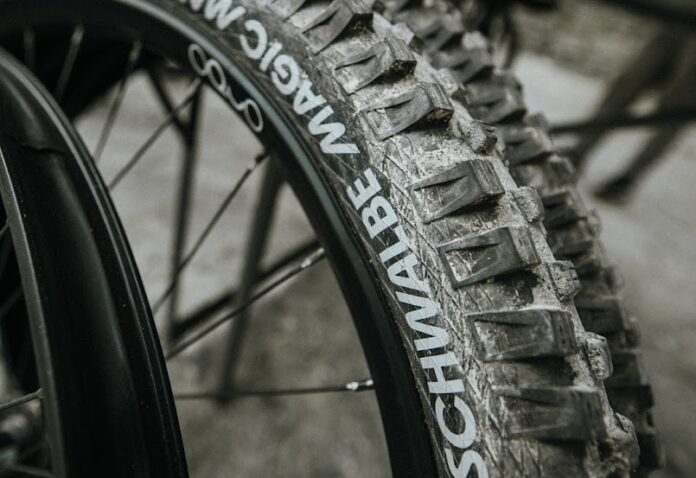 Schwalbe