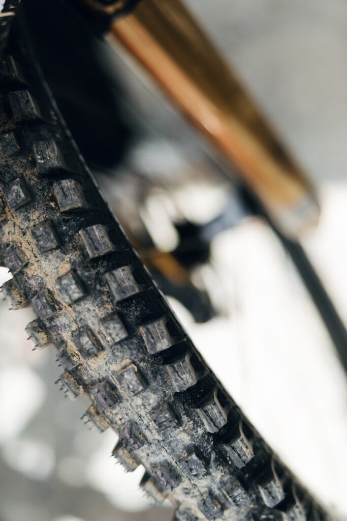 Schwalbe