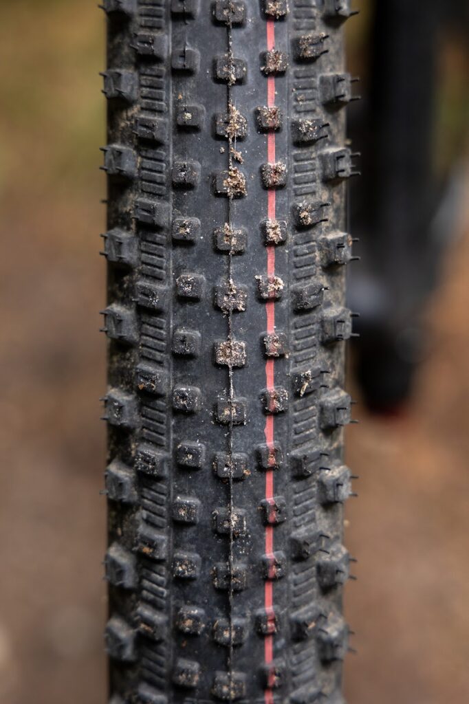 Schwalbe