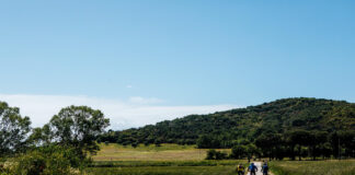 Punta Ala Trail Center