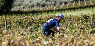 La Dario Acquaroli