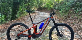 Schwalbe