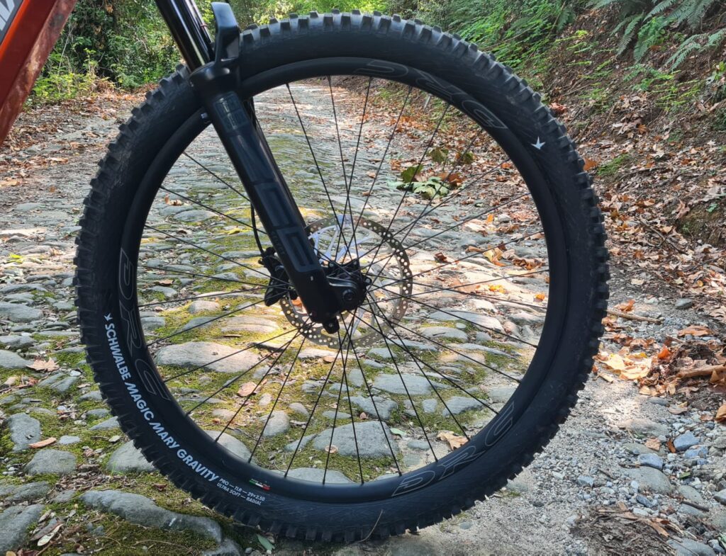 Schwalbe