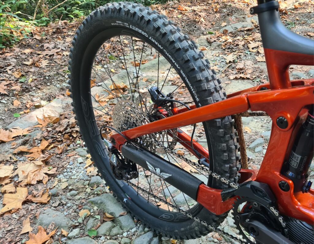 Schwalbe
