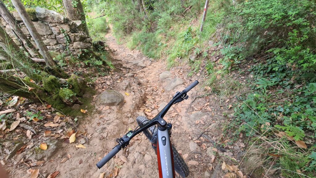 Schwalbe