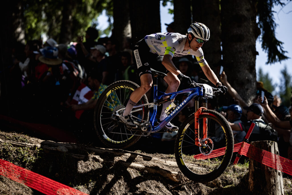 Willier-Vittoria