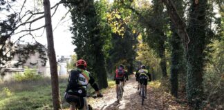 Casentino Bike