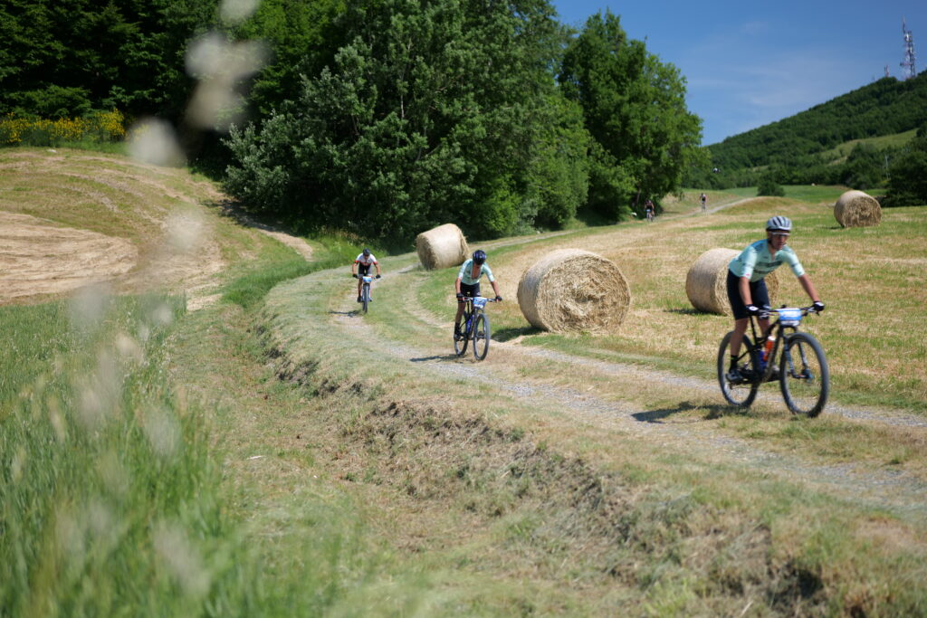 Rally di Romagna