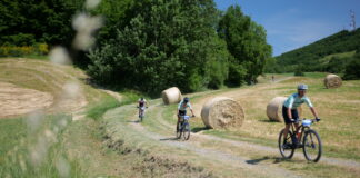Rally di Romagna