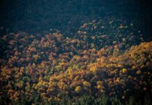 Coppa del Mondo, Lake Placid: ultimo atto della stagione. Percorsi, programma e dove vedere le gare in tv Lake Placid