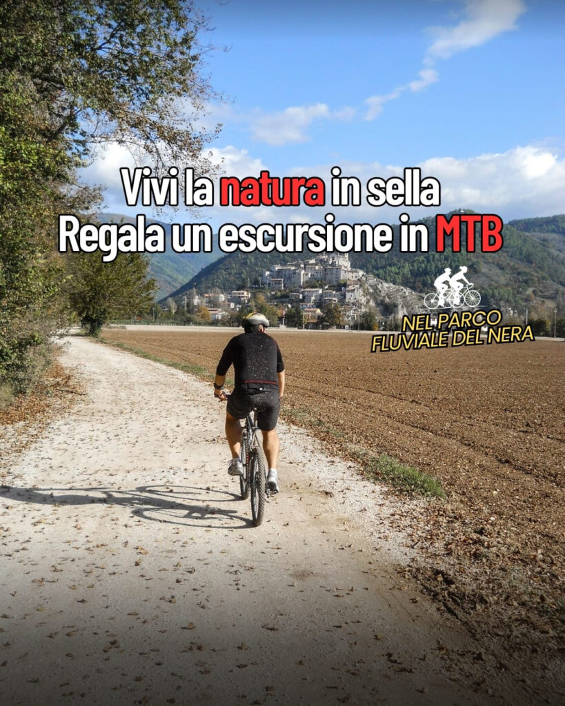 Umbria in MTB