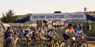 Life Time Sea Otter
