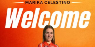 Celestino