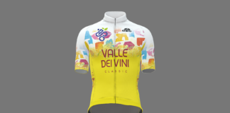 Valle dei Vini