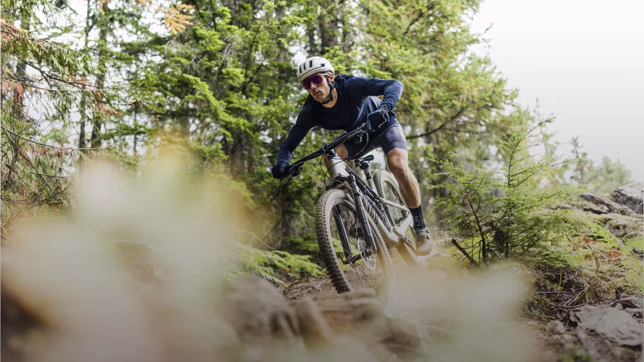 Mtb