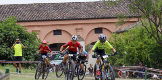 The Wild Woods XCO