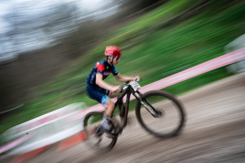 The Wild Woods MTB