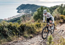 Scott Racing Team: la “terapia” Spark e Scale, con allestimenti “gold” anche nel 2026 Scott Racing Team