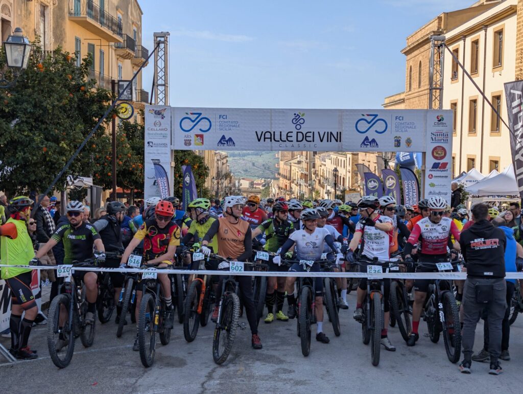 Valle dei Vini