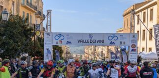 Valle dei Vini