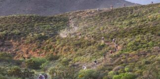 Cape Epic
