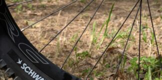 Schwalbe Romy Radial