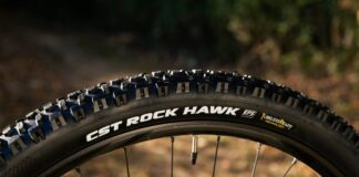Rock Hawk