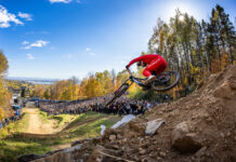 Specialized Demo 11
