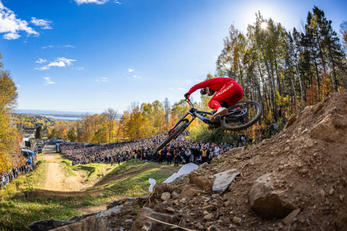 cop sw Specialized Demo 11