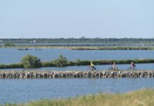 Rinviata causa maltempo l’inaugurazione del percorso cicloturistico “In bici tra Valli e Delizie” In bici tra Valli e Delizie